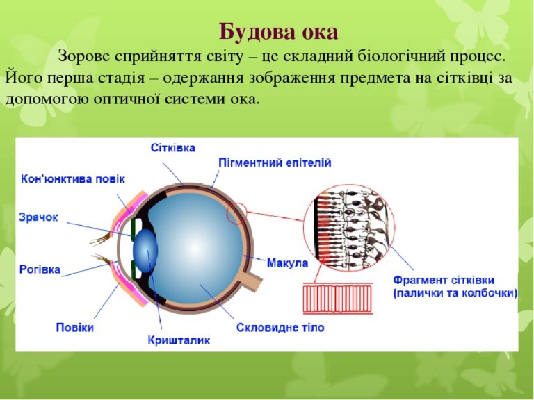 Ока вал канал