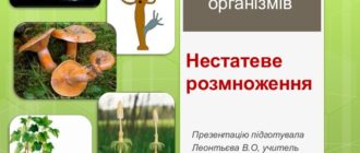 Нестатеве розмноження його види