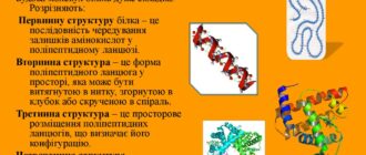 Будова білків