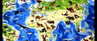 Скільки материків на Землі