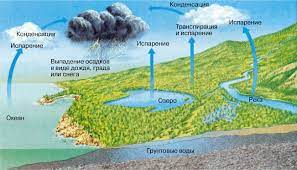 Кругообіг води в природі