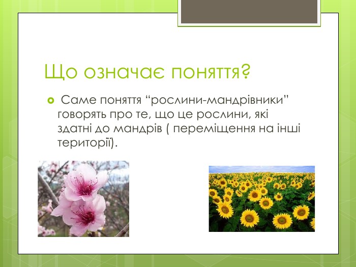 Рослини-мандрівники