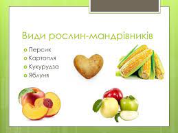 Рослини-мандрівники