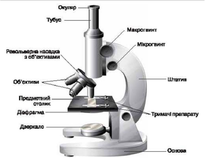 Світловий мікроскоп