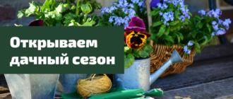 Как подготовится к дачному сезону