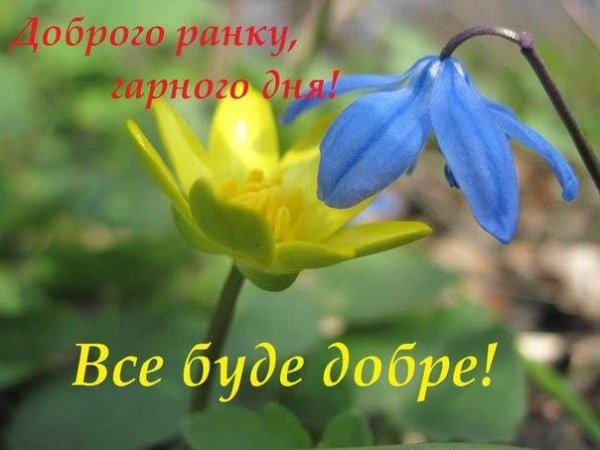 Доброго ранку картинки