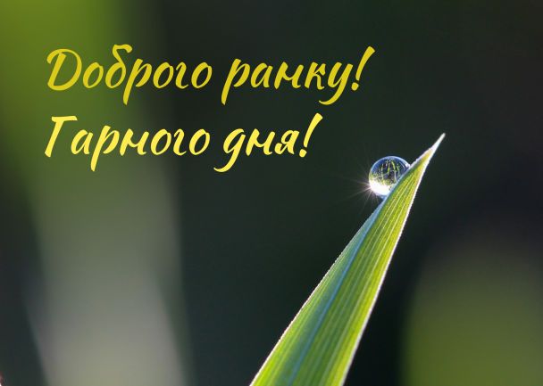 Картинка доброго ранку українською